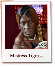 Mistress Tigress